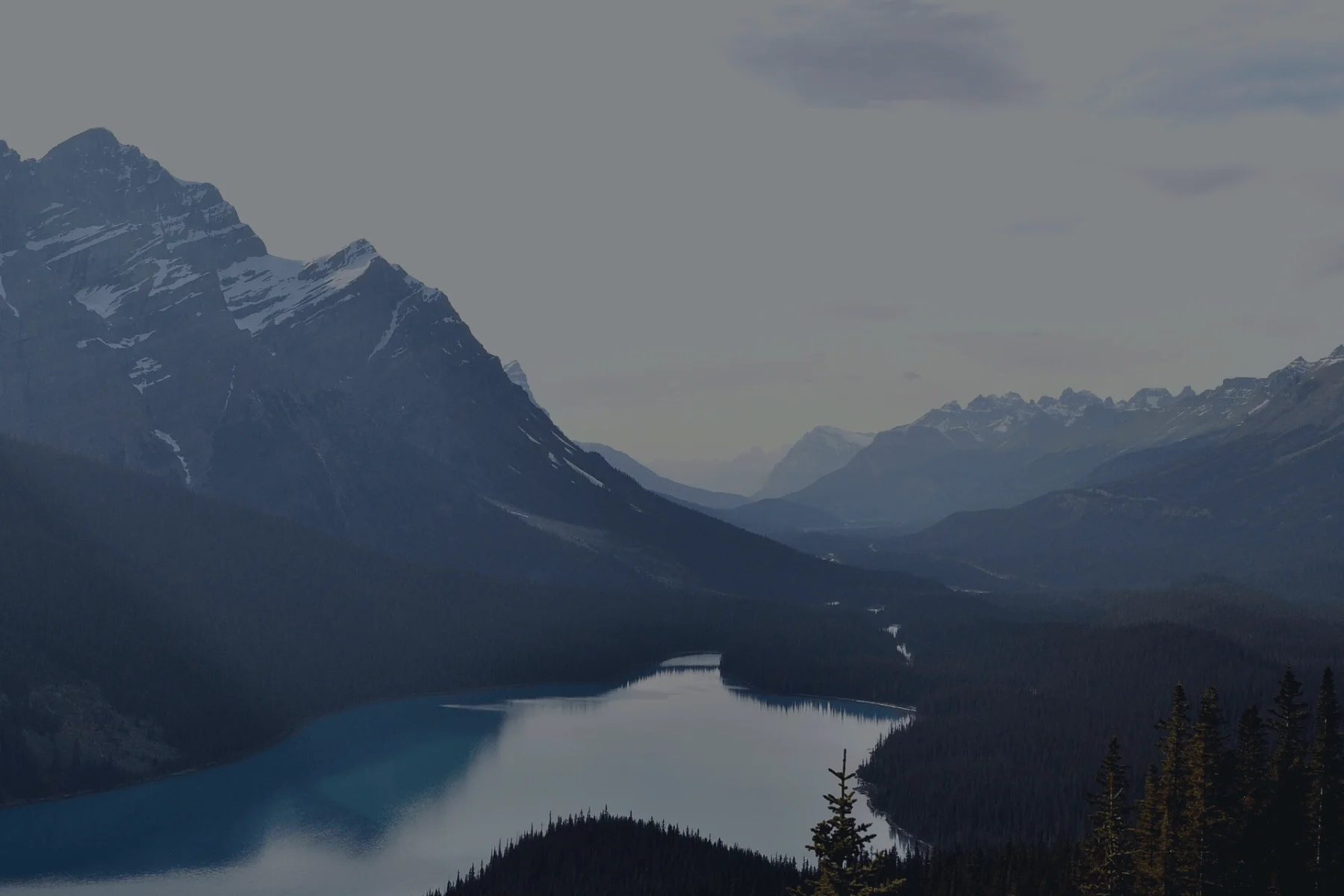 Porn Stats: Surprising Facts You Should Know